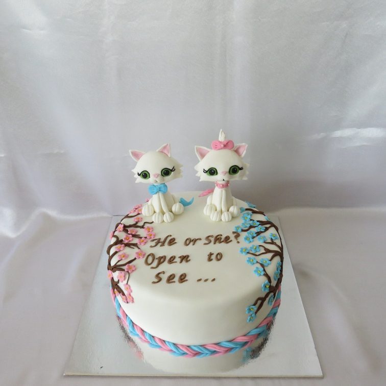 Gender reveal cake with kittens